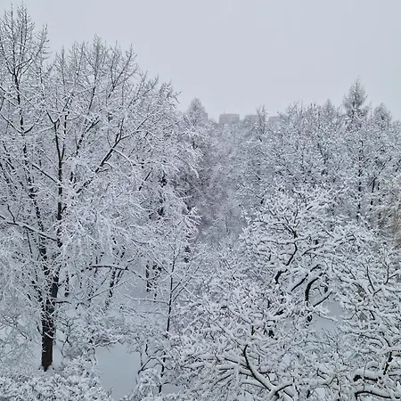 Zielona Nowa Huta By Bookinghost *