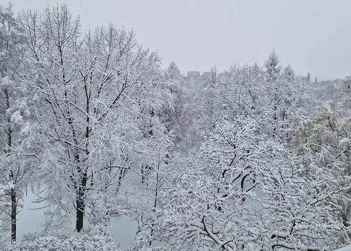 Zielona Nowa Huta By Bookinghost *